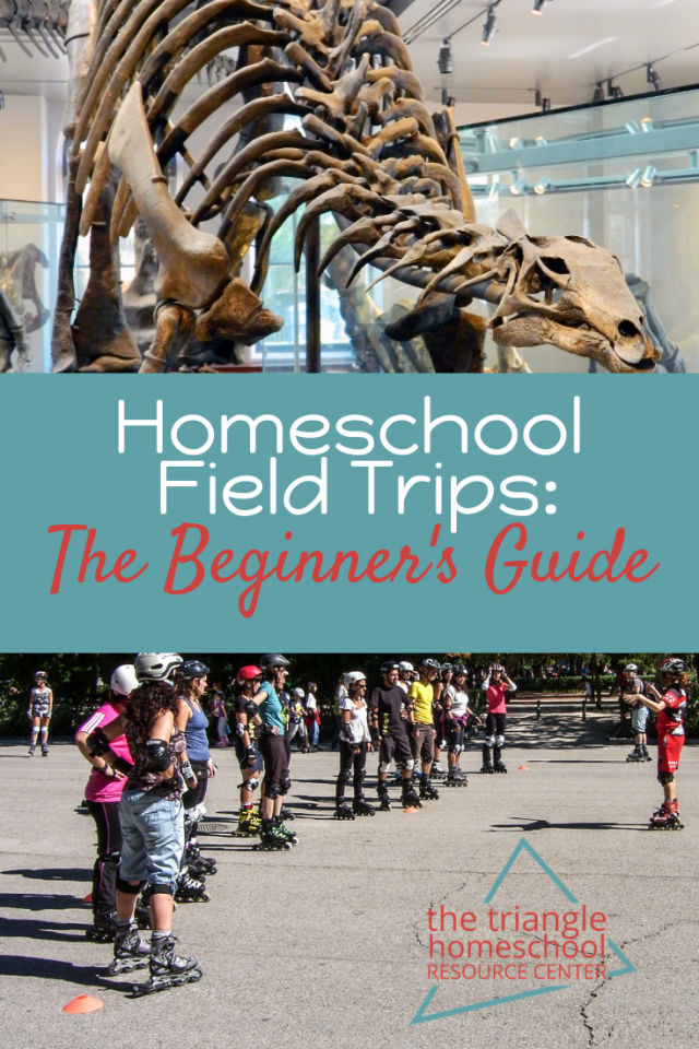 Beginner's Guide to Homeschool Field Trips